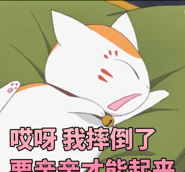 《夏目友人帐》猫咪老师的表情包，女朋友看到心都萌化了！拿不谢