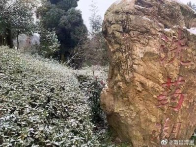 ​雪花飘飘，美不胜收 江西多地迎来今冬第一场雪！