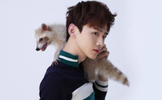 范丞丞《追我吧》刚来袭,又加盟浙江台另一综艺