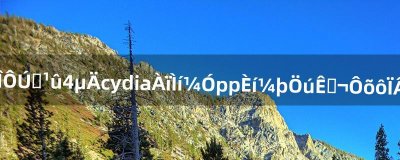 ​如何在苹果4的cydia里添加pp软件助手，怎么下载