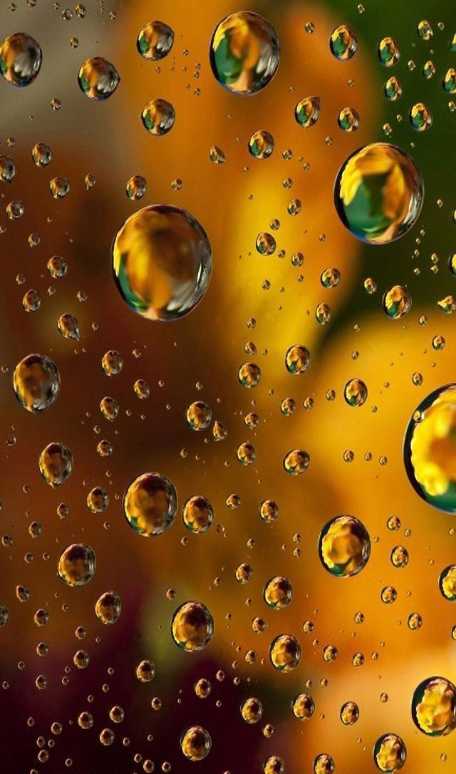 23张高清唯美水珠、水滴系列手机壁纸