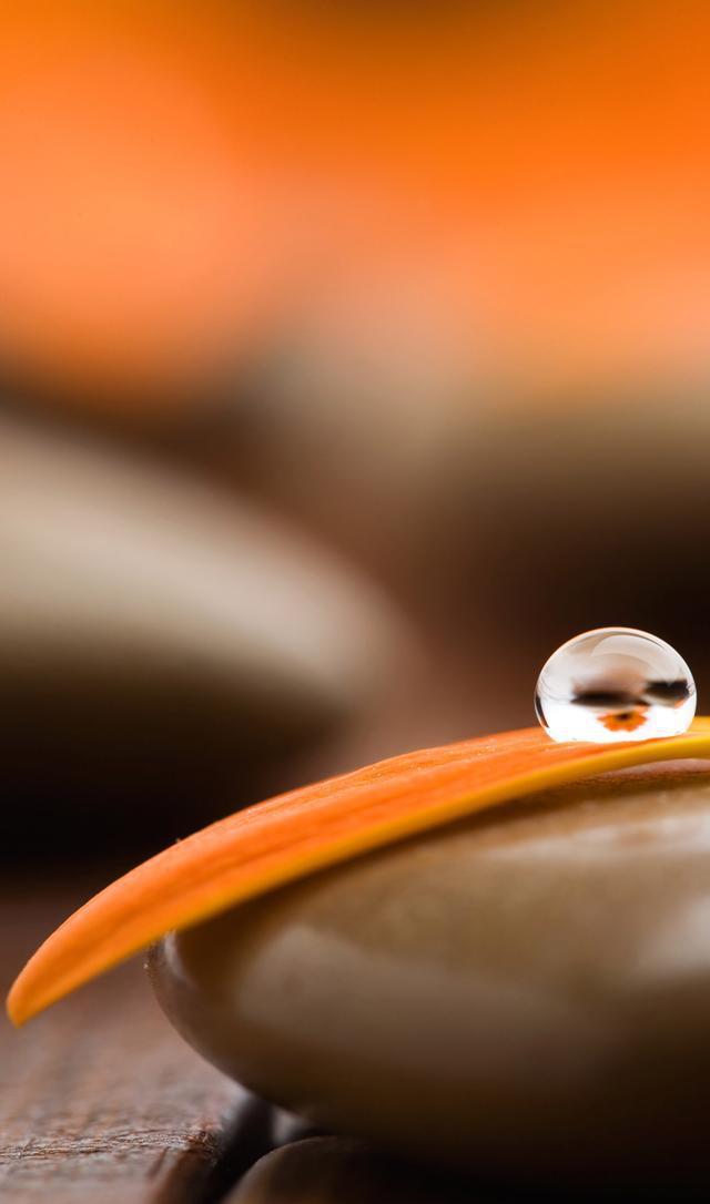 23张高清唯美水珠、水滴系列手机壁纸