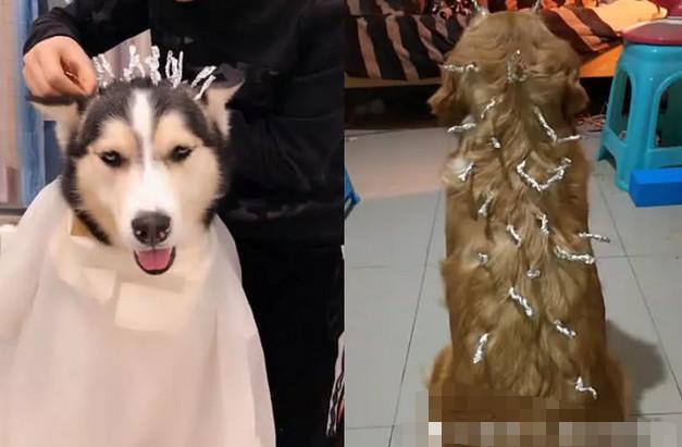 “锡纸烫”走红后，网友们“丧心病狂”，腿毛爱宠全不放过！