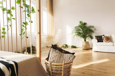 ​冰淇淋郁金香