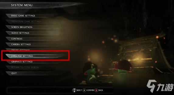 仁王设置界面怎么中文