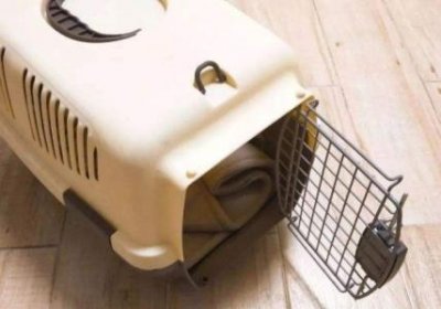 ​兔毛多少钱？兔毛多少钱一张