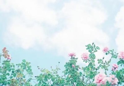 ​商家为什么不接受12315调解