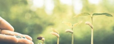 ​10086去哪里投诉最管用