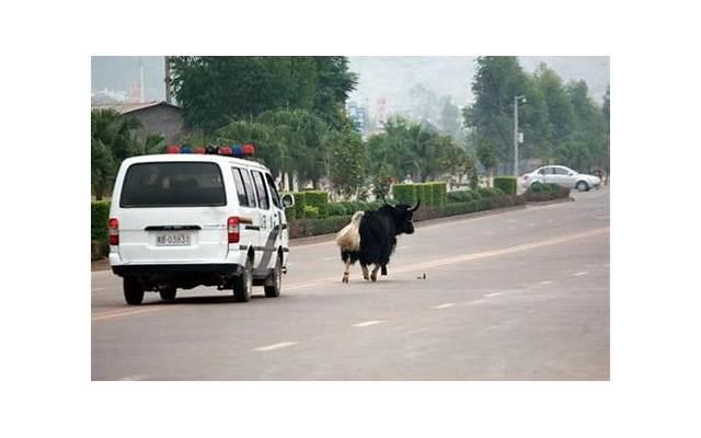 还没离婚,老公就要把我赶出家门,把小三接进来 还没离婚,老公就要把我赶出家门,把小三接进来