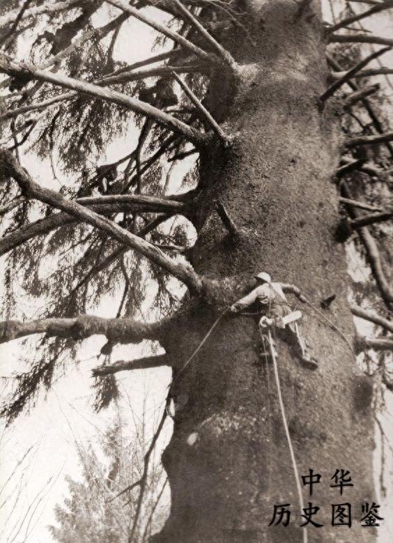 一组罕见的历史老照片:图二是神秘的“类人猿”,图七的穿着亮了