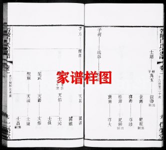 ​孙氏家谱全集