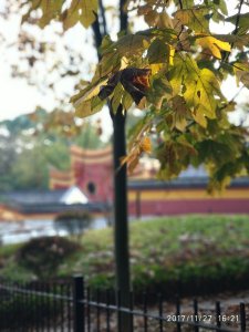 ​「古诗」三五好友