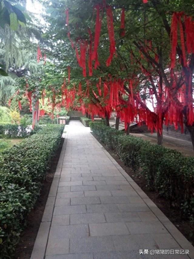 陕西西安青龙寺遗址公园(不要门票,呵呵)