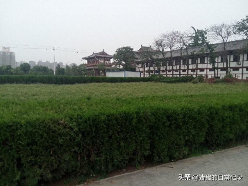 陕西西安青龙寺遗址公园(不要门票,呵呵)