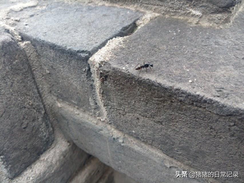 陕西西安青龙寺遗址公园(不要门票,呵呵)