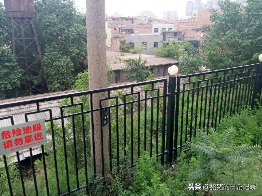 陕西西安青龙寺遗址公园(不要门票,呵呵)