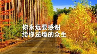 ​哪吒：我命由我不由天