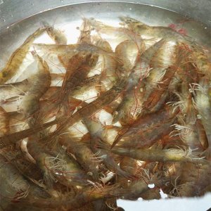 ​面包虾的做法窍门，天妇罗香酥虾，外酥里嫩，自己在家做方便易学