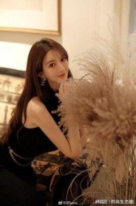 ​叶珂注销微博引发热议，涉足多家企业背后的故事