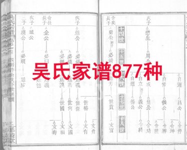 ​吴氏家谱族谱877种