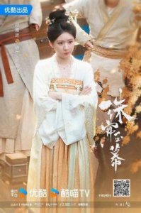 ​《珠帘玉幕》评析：剧情模糊、特效差，角色设定引争议