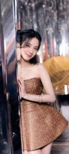 ​金智秀背景揭秘：BLACKPINK成员及其家世介绍