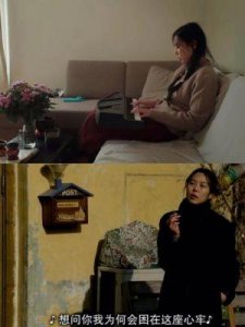 ​这五部电影，非常适合在夜晚独自观看！