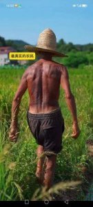 ​董浩叔叔的近期状况被揭露，他的着装看起来像农民