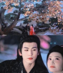 ​《四海重明》：早退角色成亮点，真挚感情引人关注