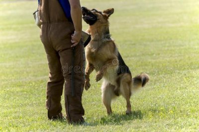 ​读警校毕业后做什么？警校毕业后的一些主要工作方向