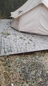 ​刚刚，浙江下雪了！今晚还有！这件事千万别忘…