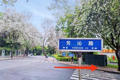 ​带你游福州——左海公园鲜为人知的秘境