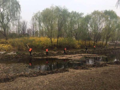 ​水草已打捞干净，石家庄秀水公园更漂亮了！