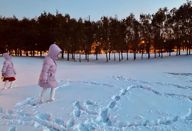 朱军为什么判八年了(37岁高龄为爱生女)