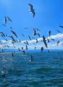 ​《泰坦尼克号》真实事件是什么？