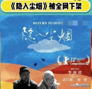 ​《隐入尘烟》为什么被下架？原因很简单：打了众人的“脸”