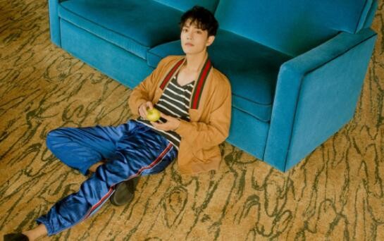 肖战227事件始末梳理 肖战为什么被黑