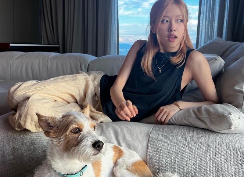 回避型人格很难爱别人怎么办 回避型人格很难爱别人怎么办