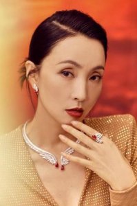 ​陶虹个人资料，黄圣依老公简历