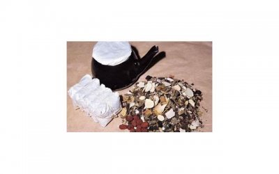 ​半藏怎么死的（为何他要隐瞒半藏被杀的消息）