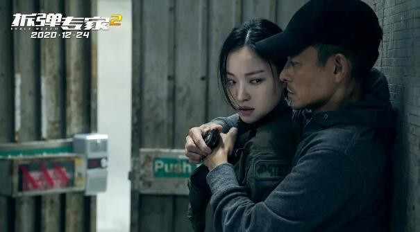 陈少霞个人资料感情经历（陈少霞向刘德华道歉）(6)