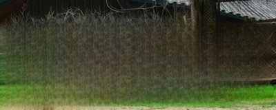 ​日产轩逸14代什么时候上市