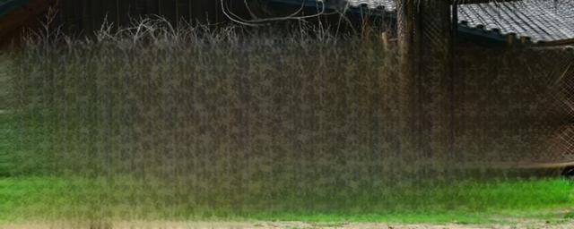 日产轩逸14代什么时候上市-