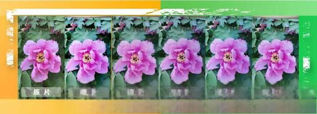 洗照片用什么材质的相纸好一些?-