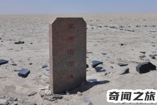 罗布泊(体型巨大体长最大可达6-7米)(3)_