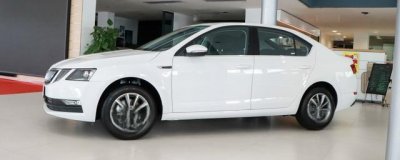 ​大众dsg什么车型