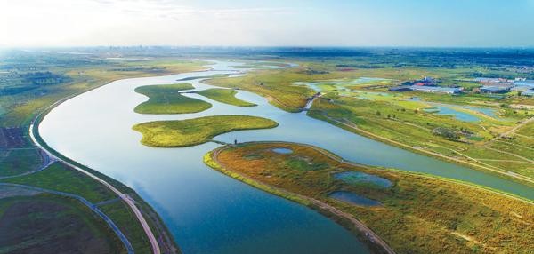 石家庄之歌杨辉(关于石家庄的歌盘点介绍)