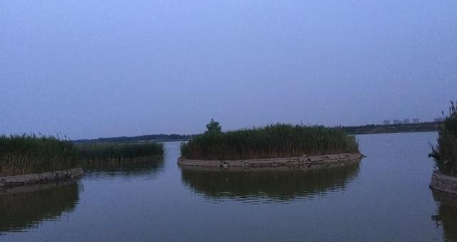 石家庄之歌杨辉(关于石家庄的歌盘点介绍)