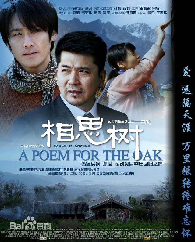 家庭题材的老电视剧推荐（8部有点悠久的家庭题材的电视剧）(2)