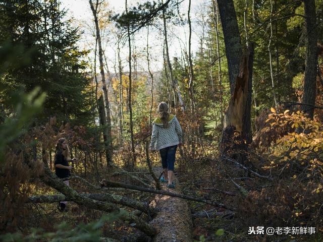 河北省平乡县都有哪些乡镇(河北省邢台市平乡县各村镇历史沿革与来历)(2)